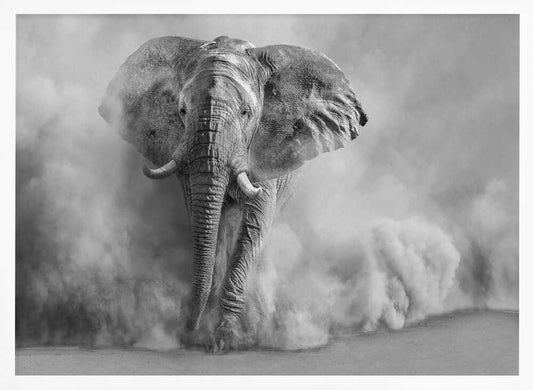Majestic Elephant Dust Cloud - XL Poster