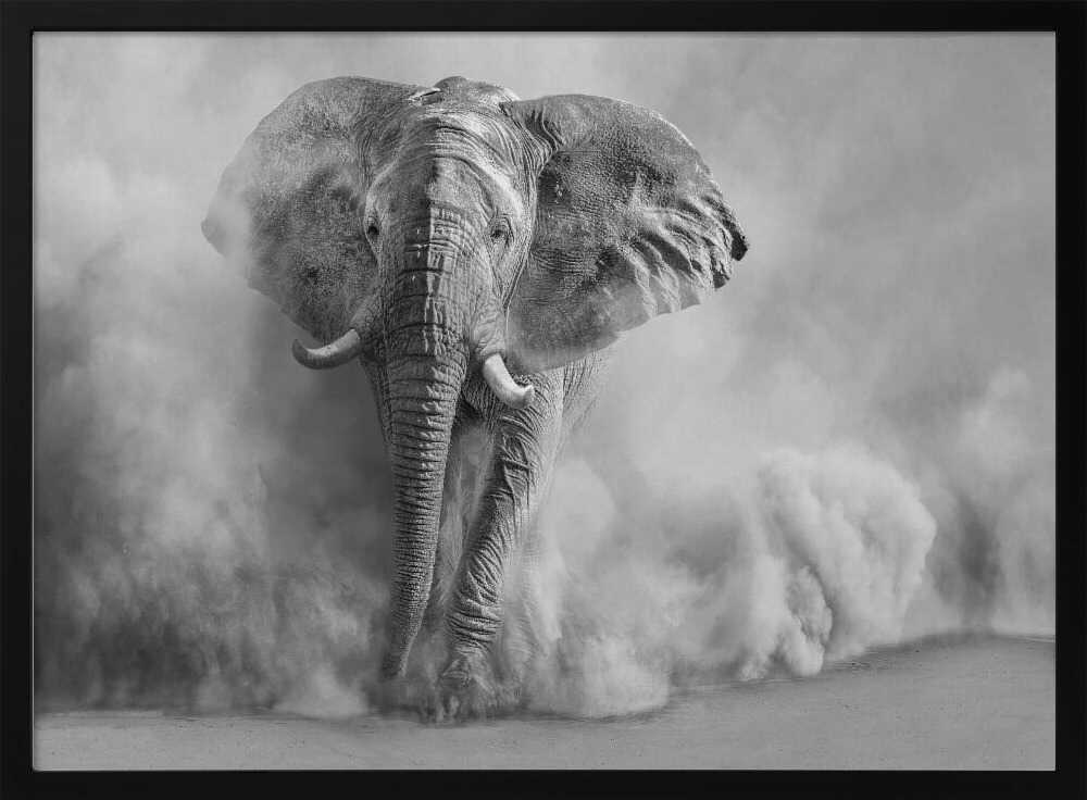 Majestic Elephant Dust Cloud - XL Poster