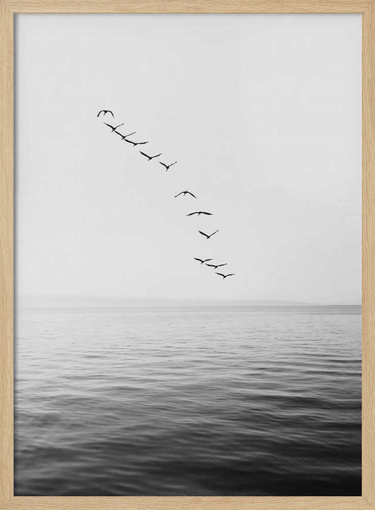 Flying Birds - XL Poster