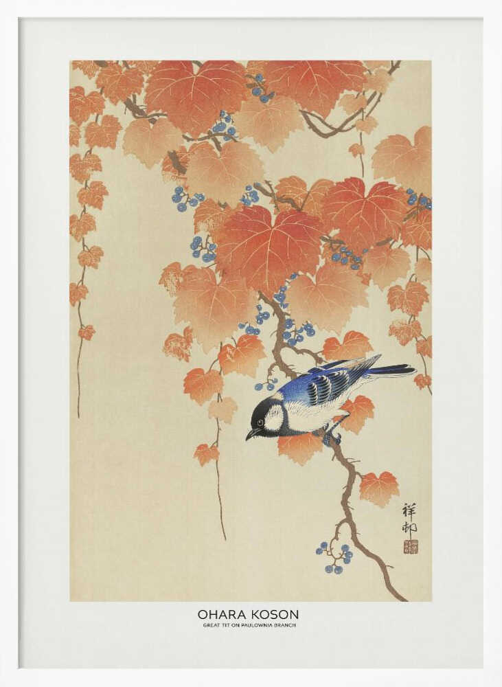 Great Tit On Paulownia Branch - XL Poster