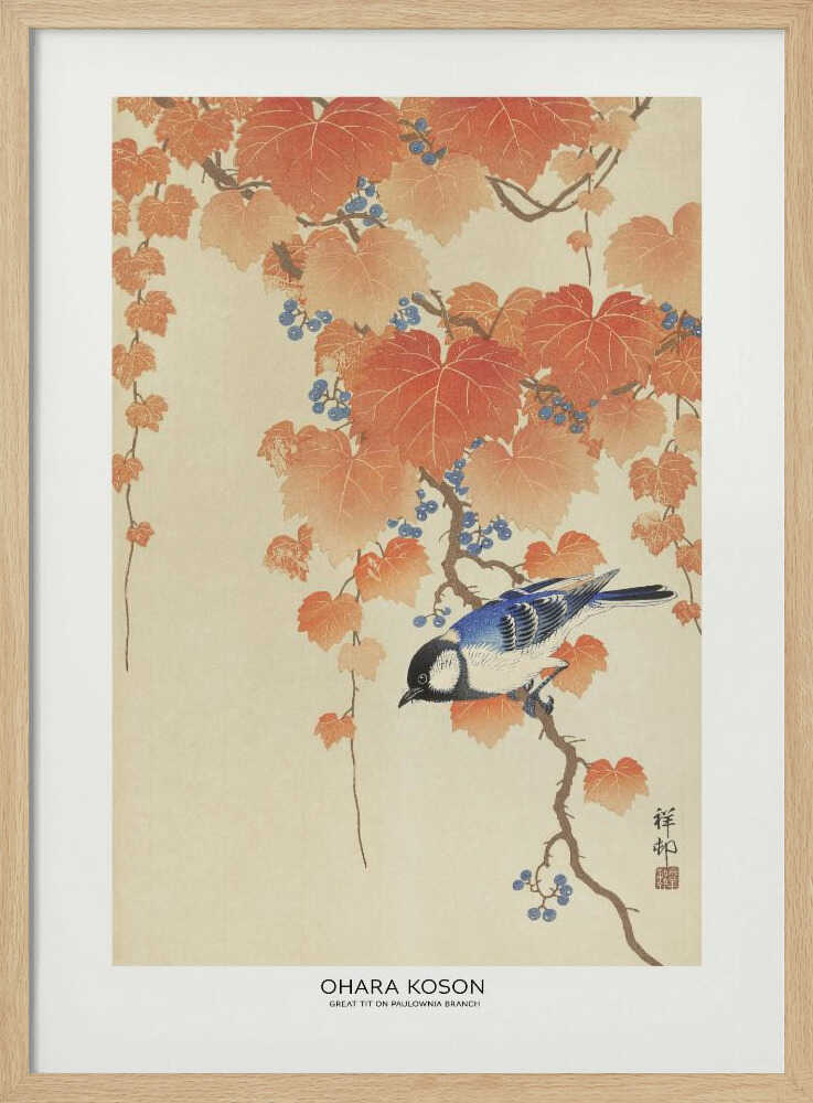 Great Tit On Paulownia Branch - XL Poster