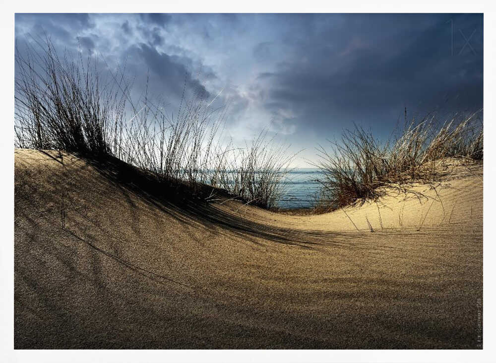 Sandy Dune Ocean View - XL Poster