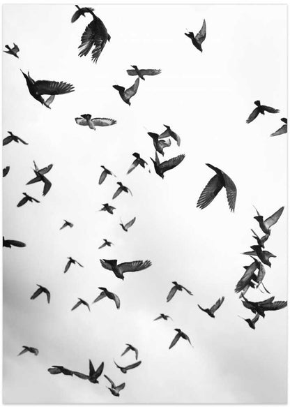 Skyward Symphony - XL Poster