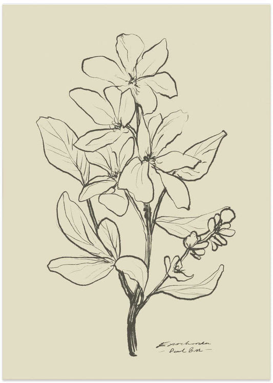 Floral 1 - XL Poster