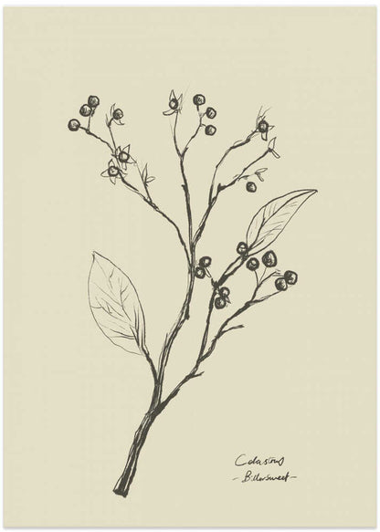 Floral 2 - XL Poster